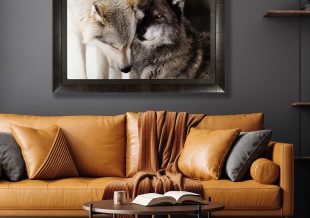 "The Observer" framed and shown