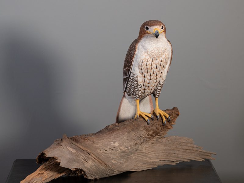 Lundgren - "Red Tailed Hawk"